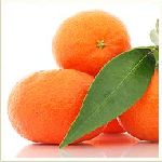 Mandarin Cold Pressed - Citrus madurensis ao